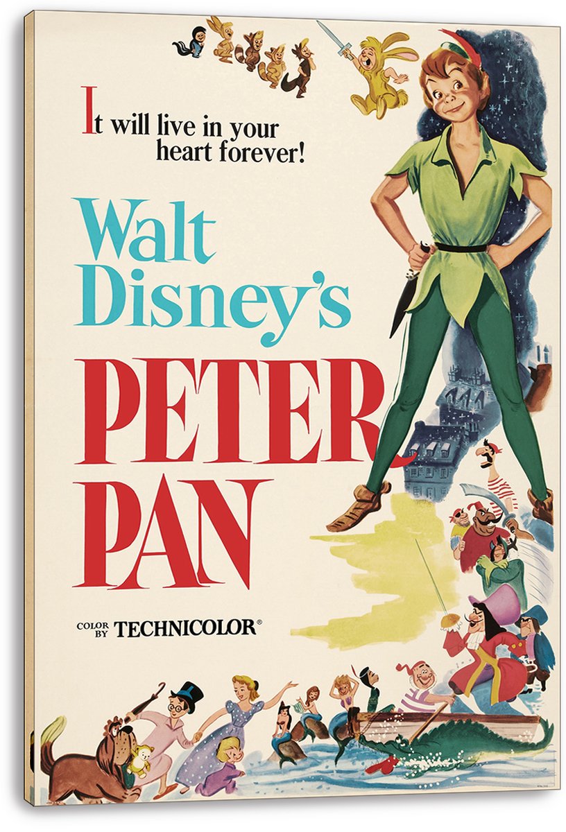 Peter Pan Disney Decorative Painting (paper and canvas) art poster printing print