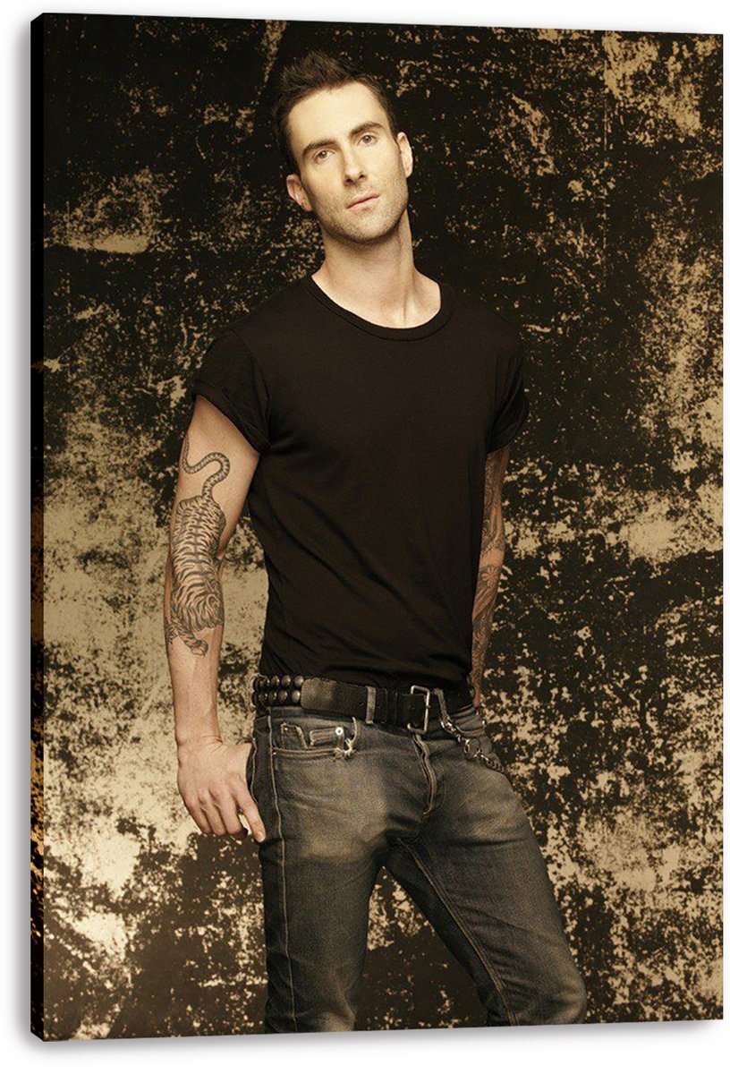 Adam Levine Decorative Painting (paper and canvas) art poster printing print