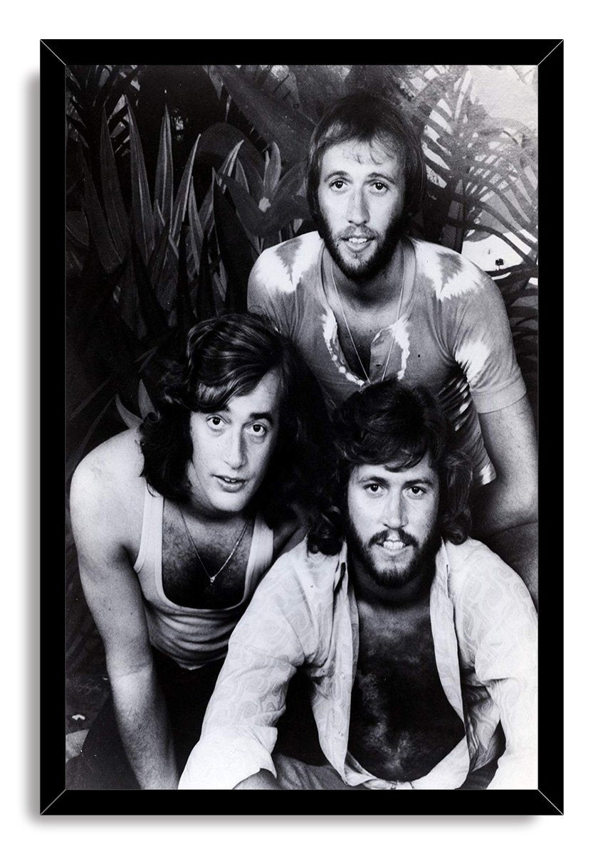Bee Gees Decorative Painting (paper and canvas) art poster printing print