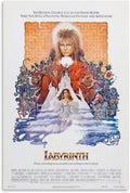 Labyrinth Movie Poster Art and Wall Art Picture (Paper and Canvas) Art Poster Printing Print