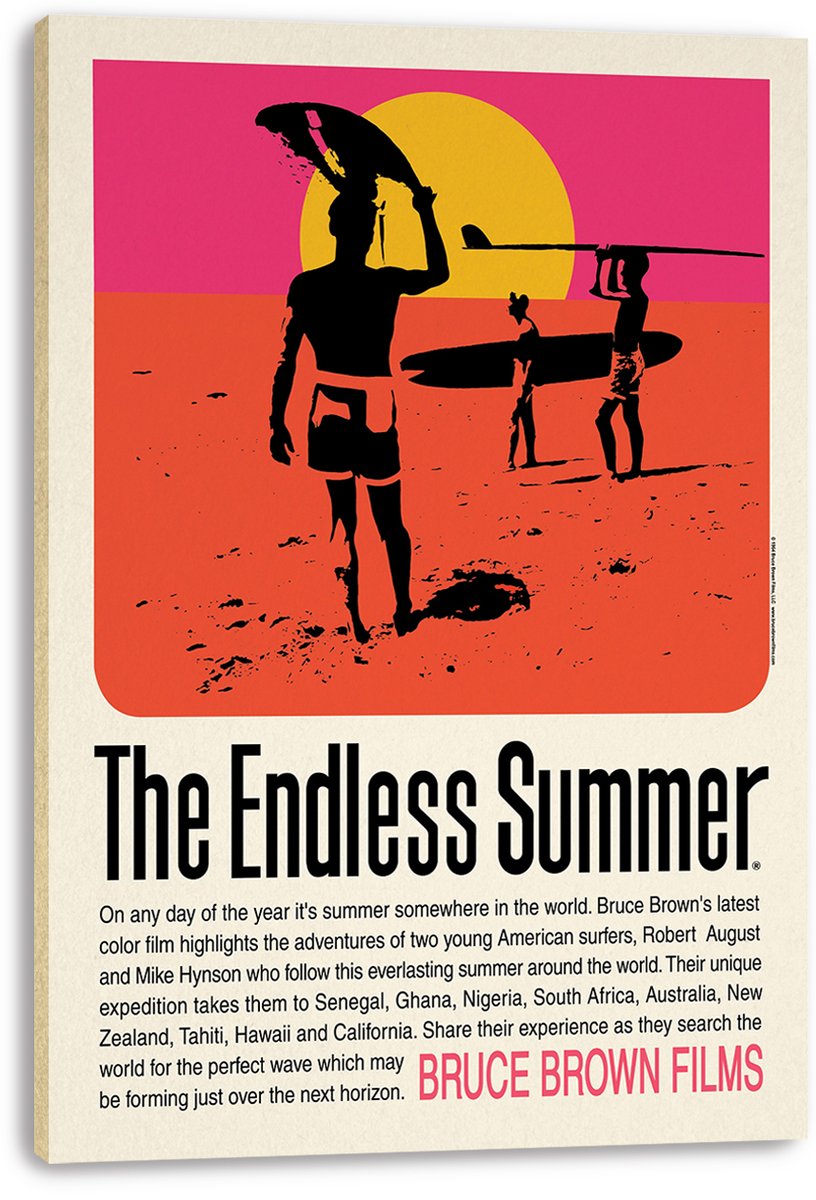 The Endless Summer Movie Poster Decorative Painting (paper and canvas) art poster printing print