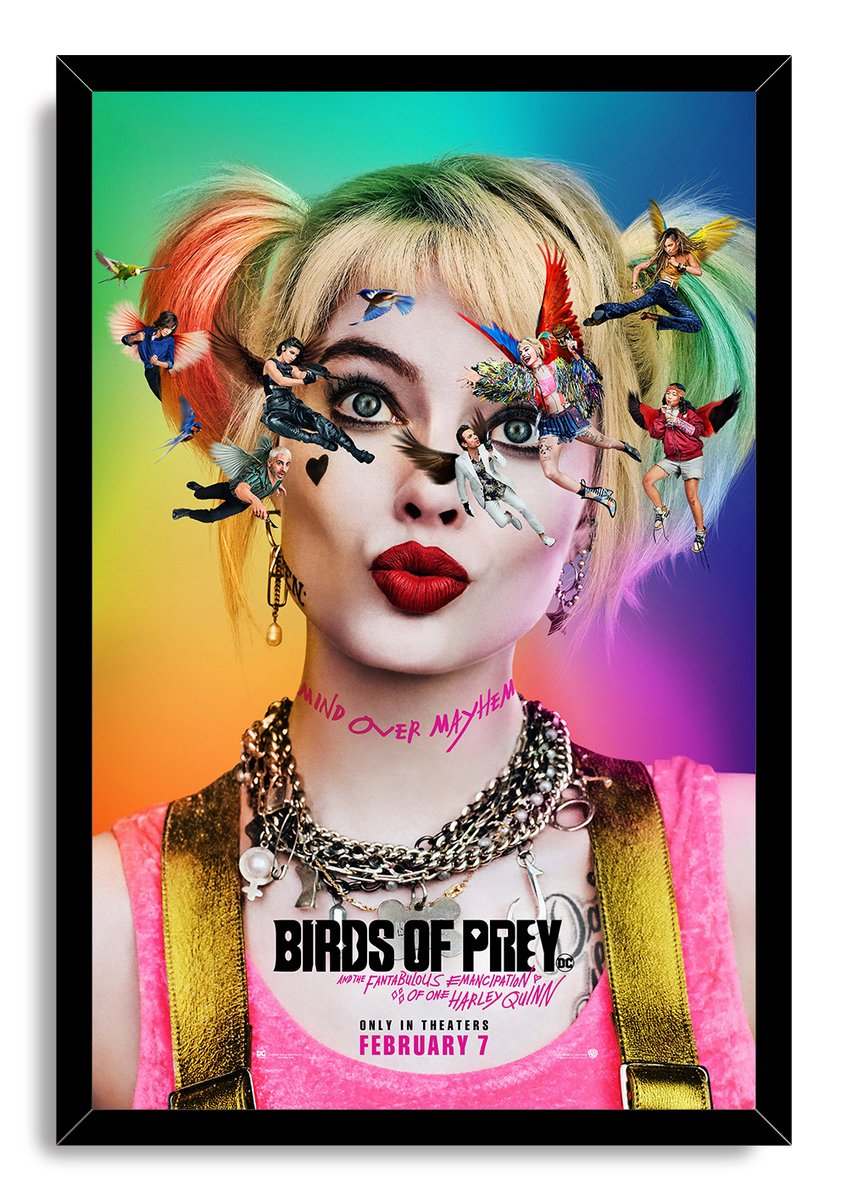 Harley Quinn & Birds of Prey Decorative Painting (paper and canvas) art poster printing print