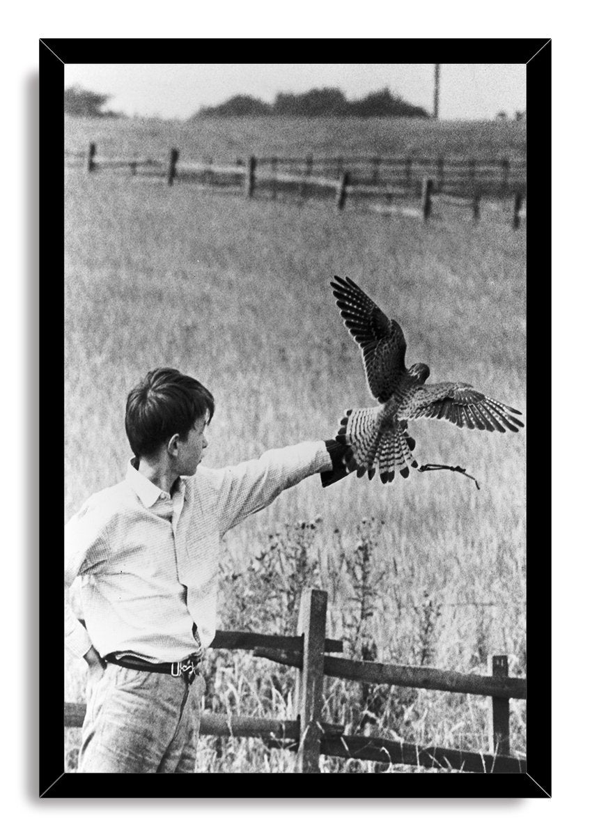 Boy and Falcon Decorative Painting (paper and canvas) art poster printing print