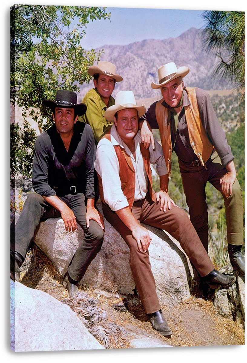 Bonanza TV Show Cast Decorative Painting (paper and canvas) art poster printing print