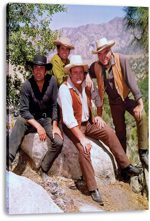 Bonanza TV Show Cast Decorative Painting (paper and canvas) art poster printing print