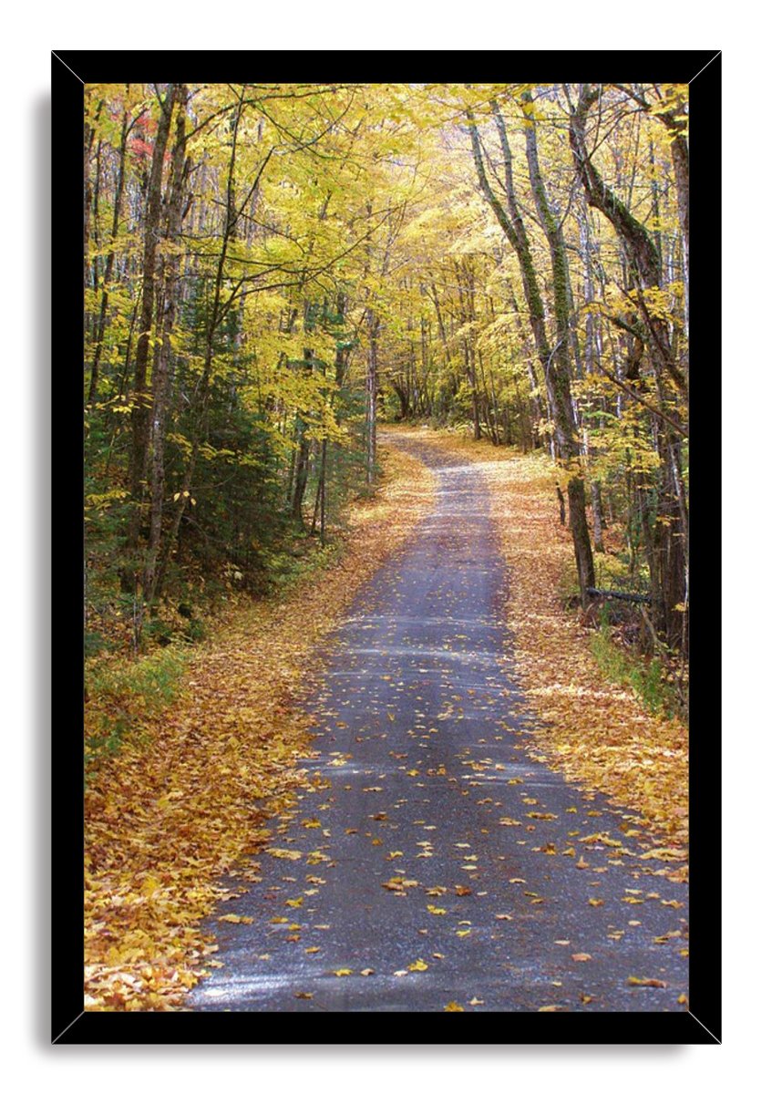 Autumn Forest Path Decorative Painting (paper and canvas) art poster printing print