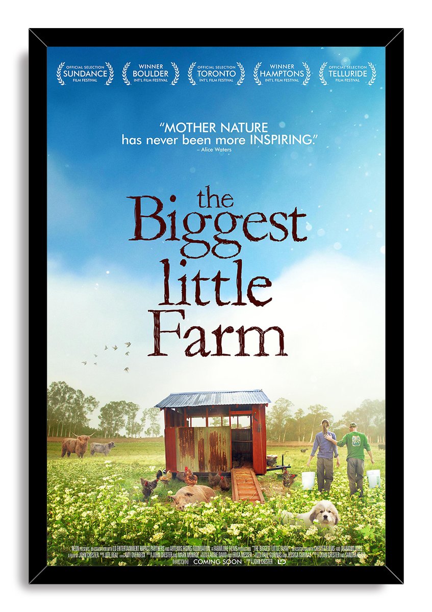 The Biggest Little Farm Decorative Painting (paper and canvas) art poster printing print