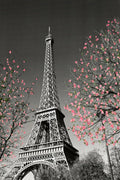 Eiffel Tower Pink Blossoms Decorative Painting (paper and canvas) art poster printing print