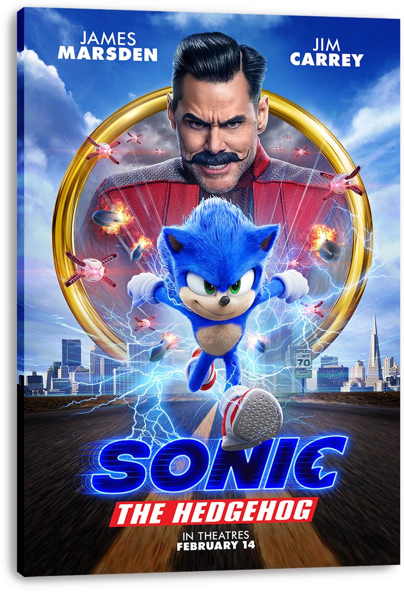 Sonic The Hedgehog Movie Decorative Painting (paper and canvas) art poster printing print