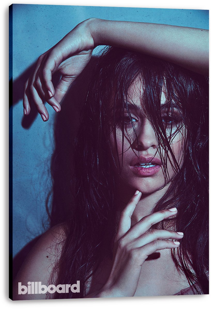 Camila Cabello Decorative Painting (paper and canvas) art poster printing print