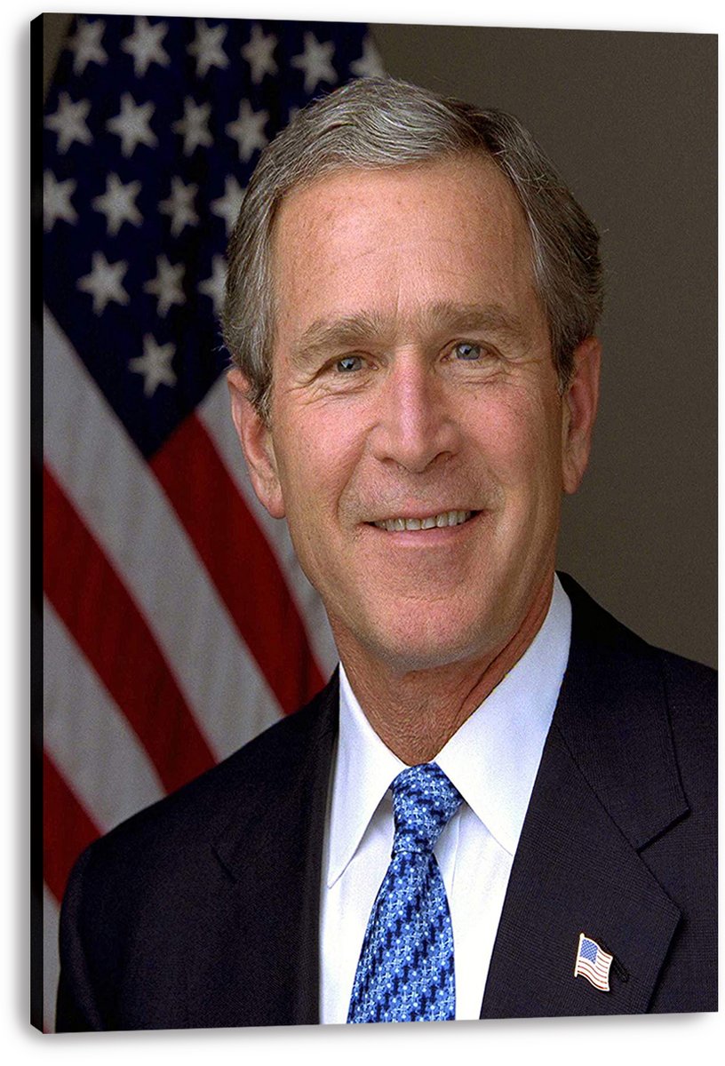 George W. Bush Decorative Painting (paper and canvas) art poster printing print