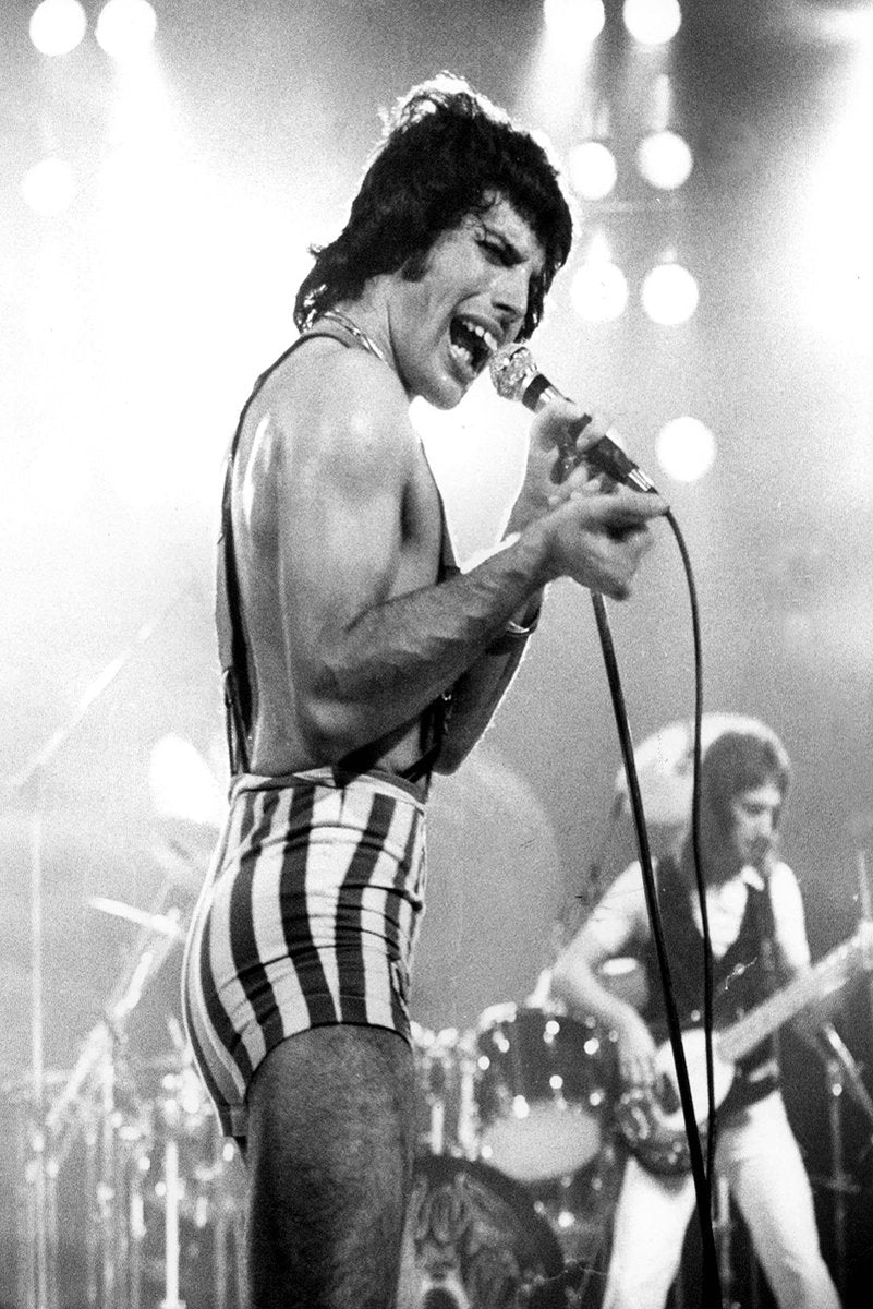 Freddie Mercury Decorative Painting (paper and canvas) art poster printing print