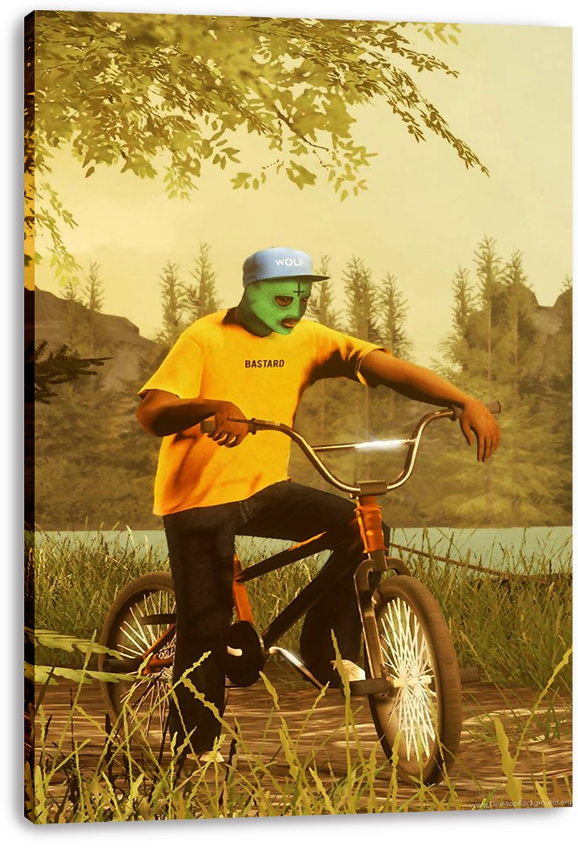 Tyler The Creator Wolf Haley Character Decorative Painting (paper and canvas) art poster printing print