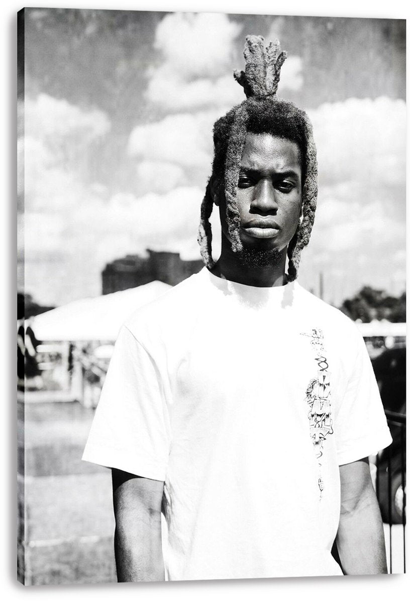 Man with Dreadlocks Decorative Painting (paper and canvas) art poster printing print