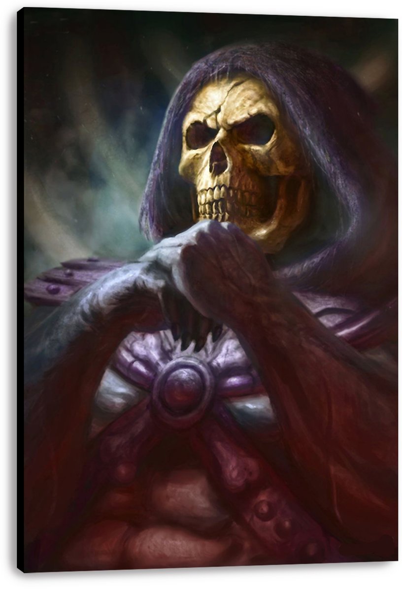 Skeletor Decorative Painting (paper and canvas) art poster printing print