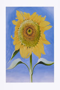 Sunflower Decorative Painting (paper and canvas) art poster printing print