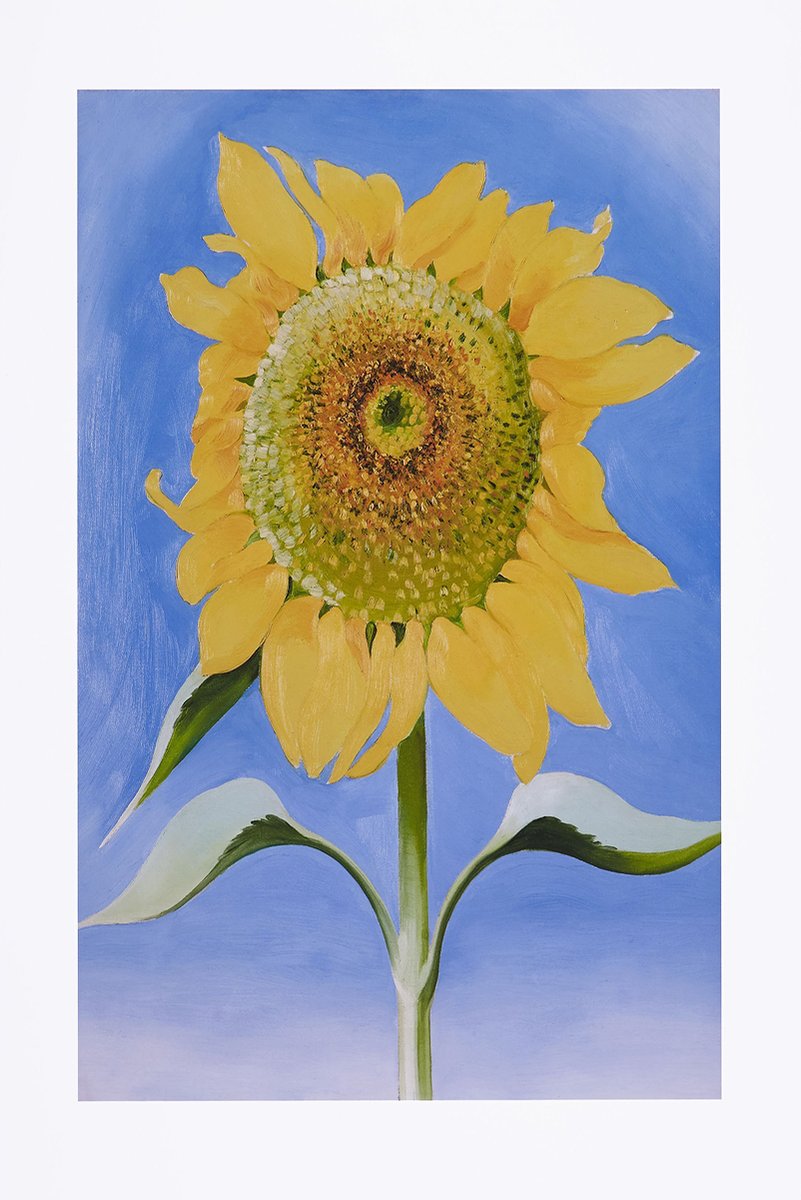 Sunflower Decorative Painting (paper and canvas) art poster printing print