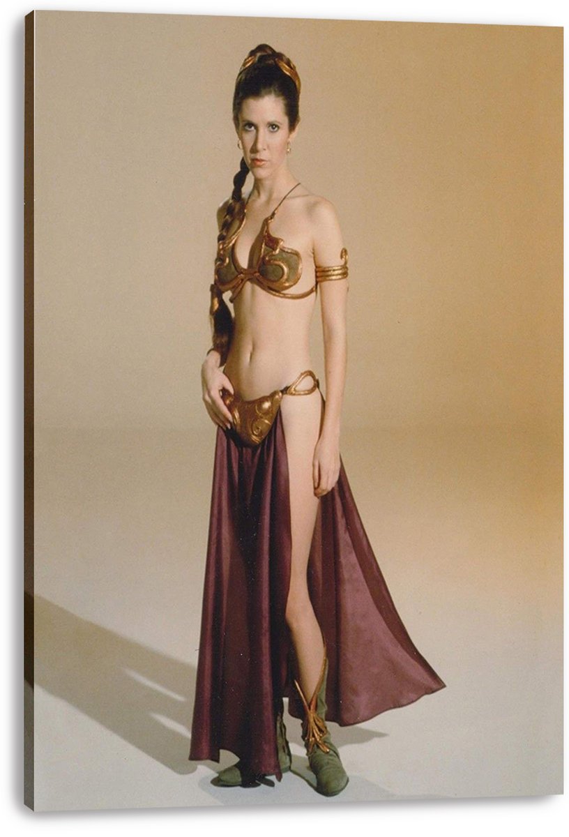 Princess Leia Decorative Painting (paper and canvas) art poster printing print