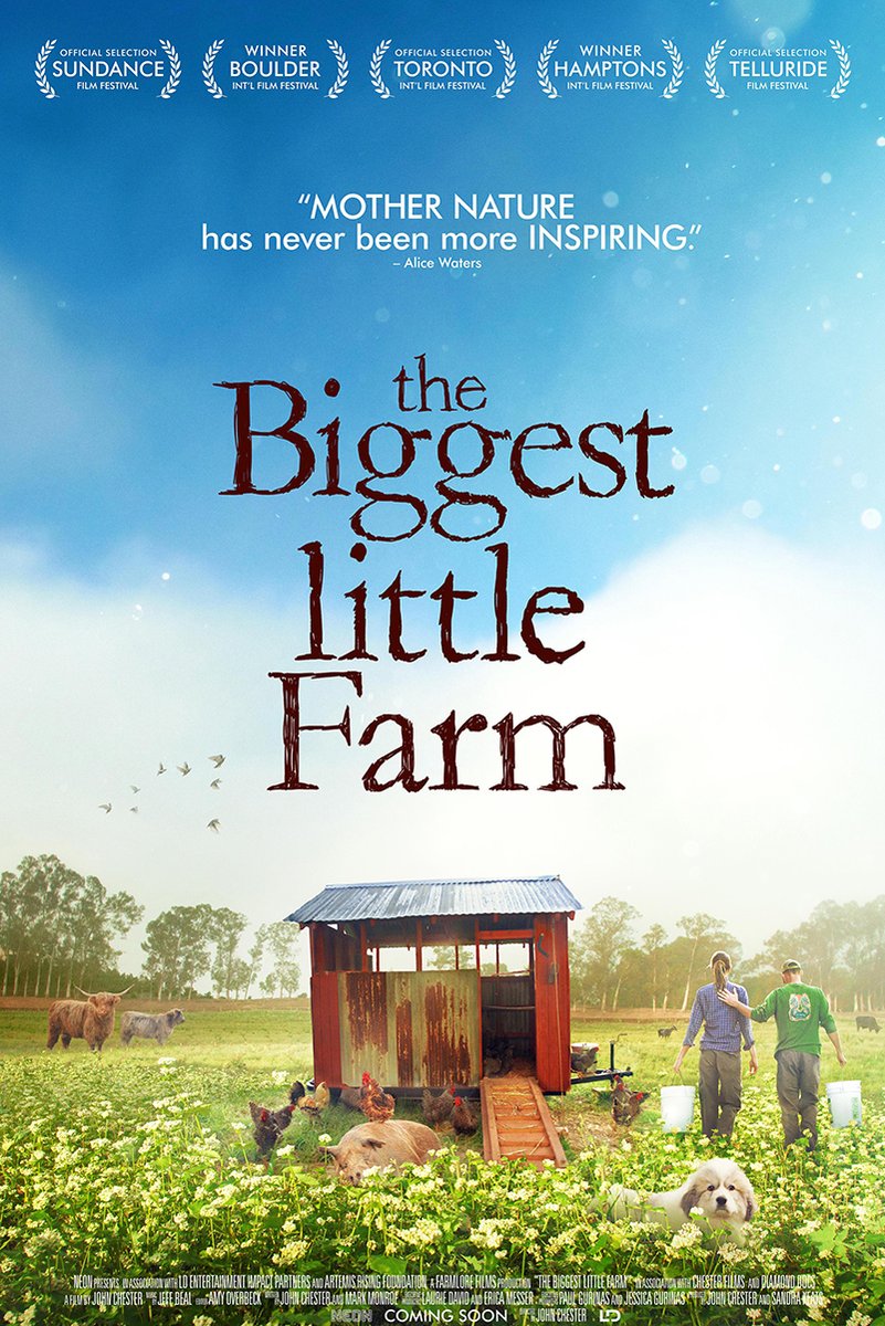 The Biggest Little Farm Decorative Painting (paper and canvas) art poster printing print