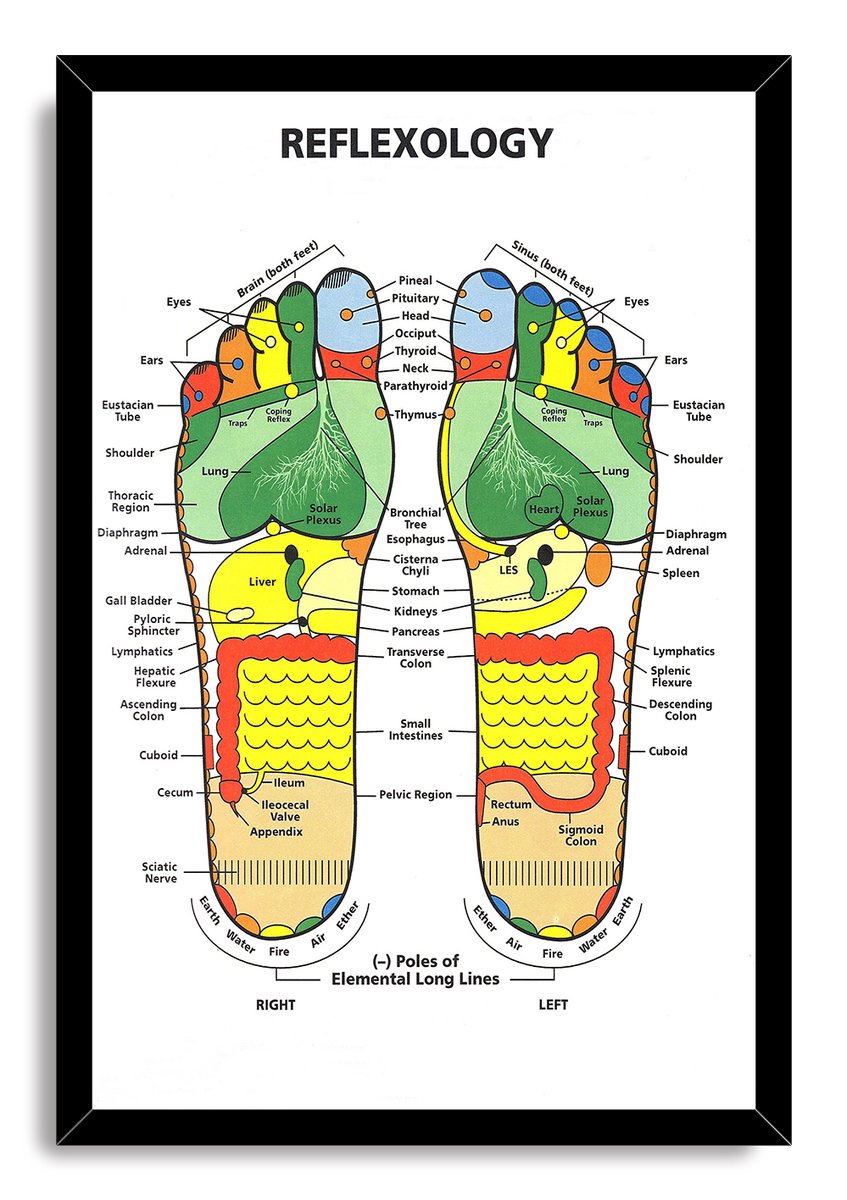 Reflexology Foot Chart Decorative Painting (paper and canvas) art poster printing print