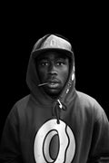 Tyler, The Creator Decorative Painting (paper and canvas) art poster printing print