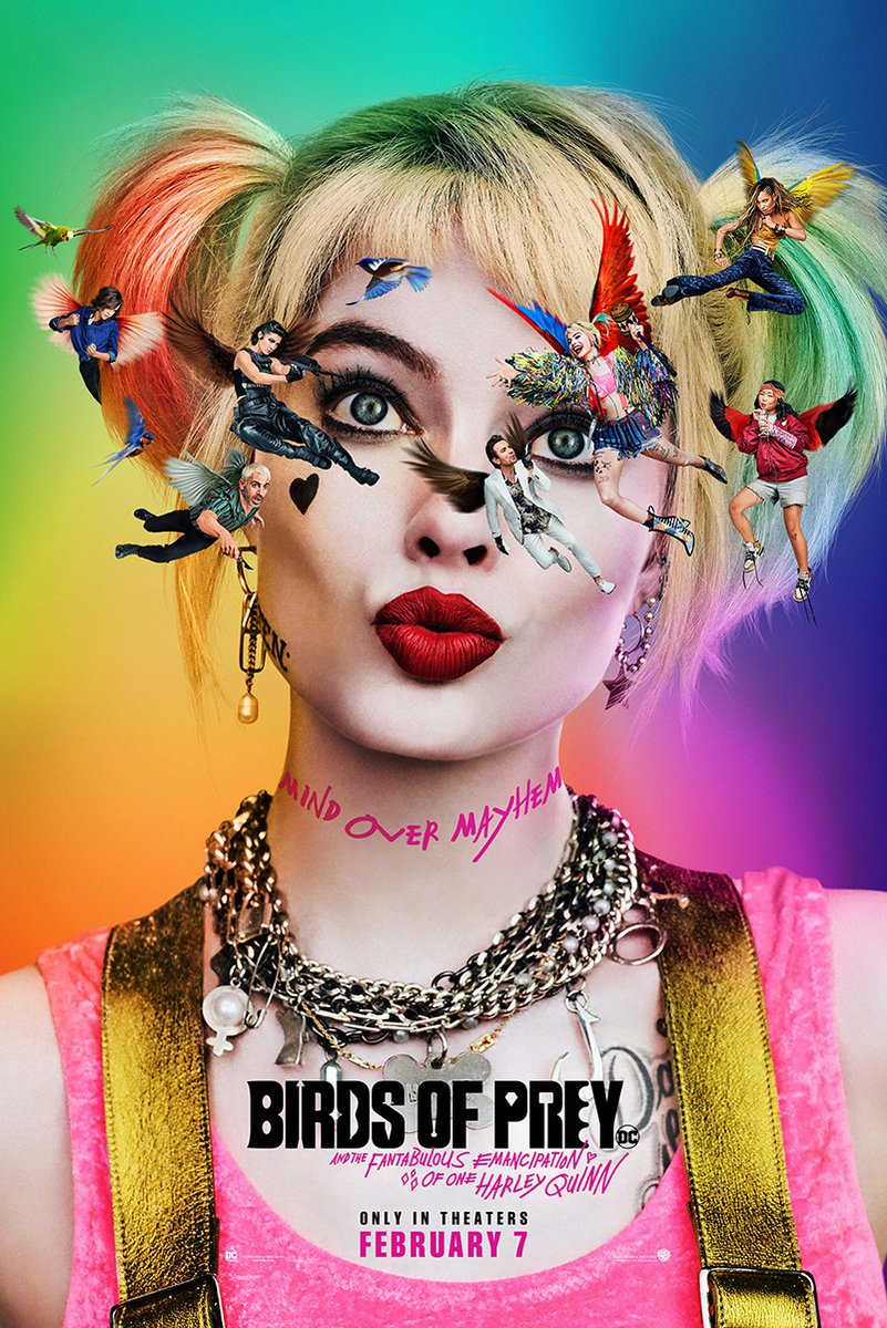 Harley Quinn & Birds of Prey Decorative Painting (paper and canvas) art poster printing print