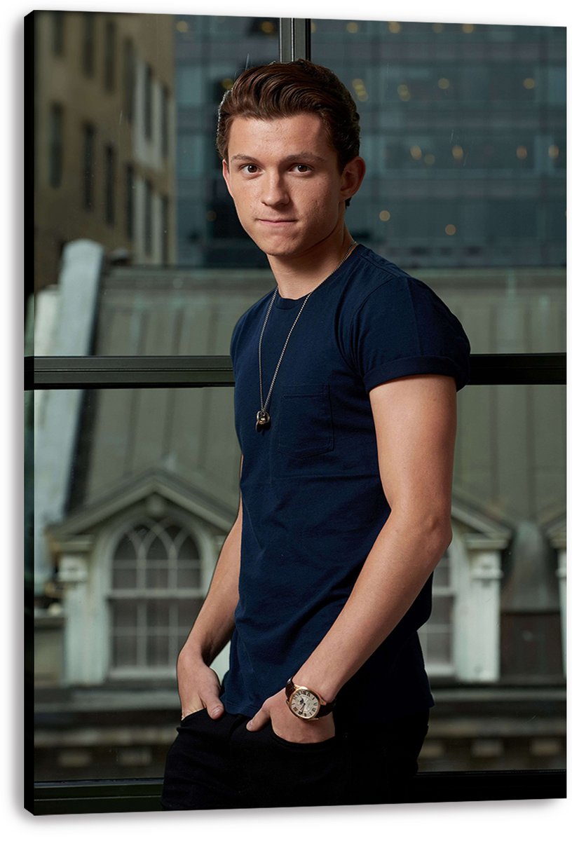 Tom Holland Decorative Painting (paper and canvas) art poster printing print