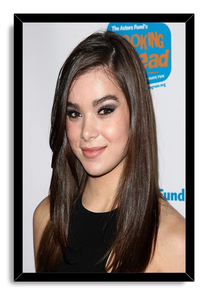 Hailee Steinfeld Decorative Painting (paper and canvas) art poster printing print