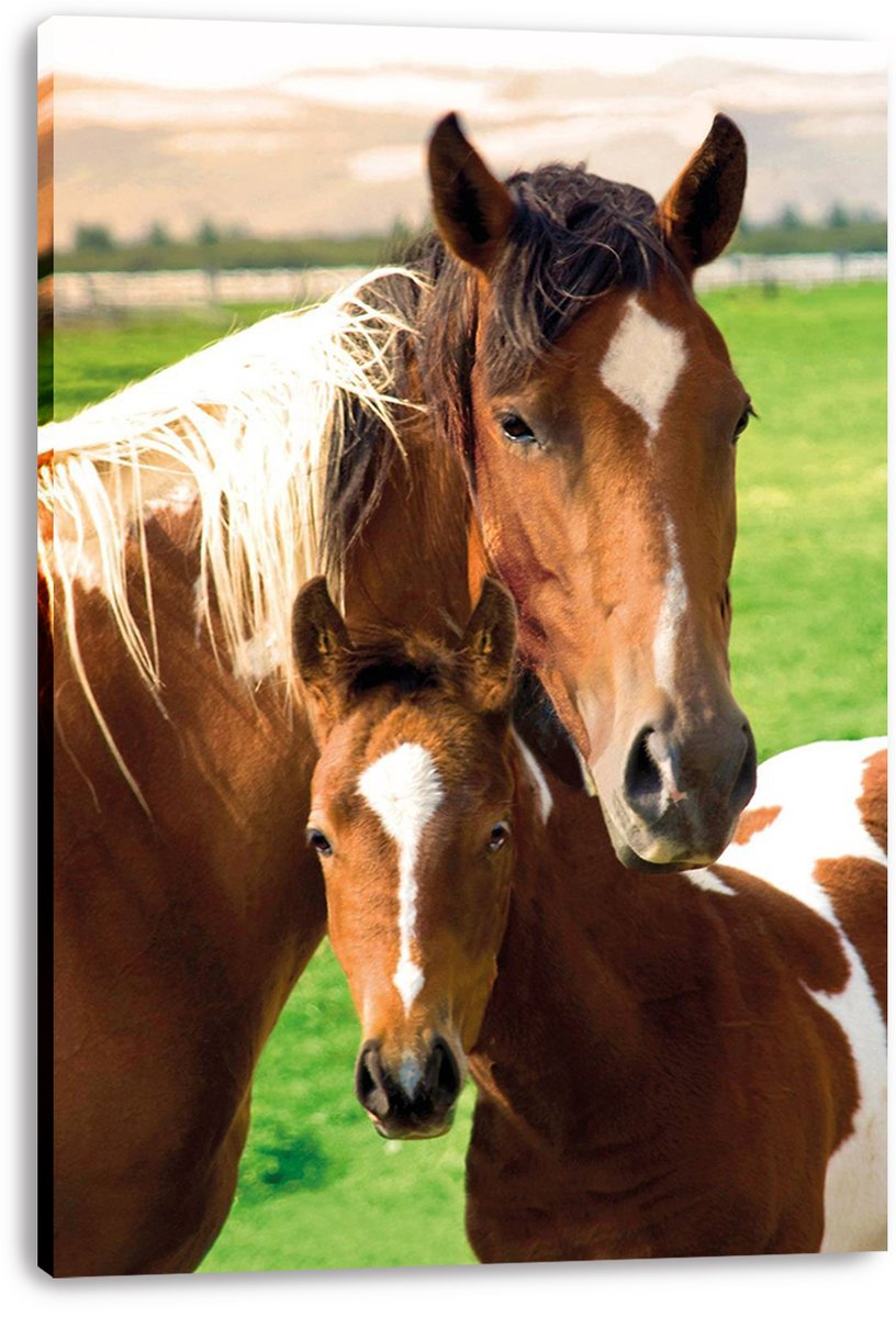 Horses and Foal Decorative Painting (paper and canvas) art poster printing print