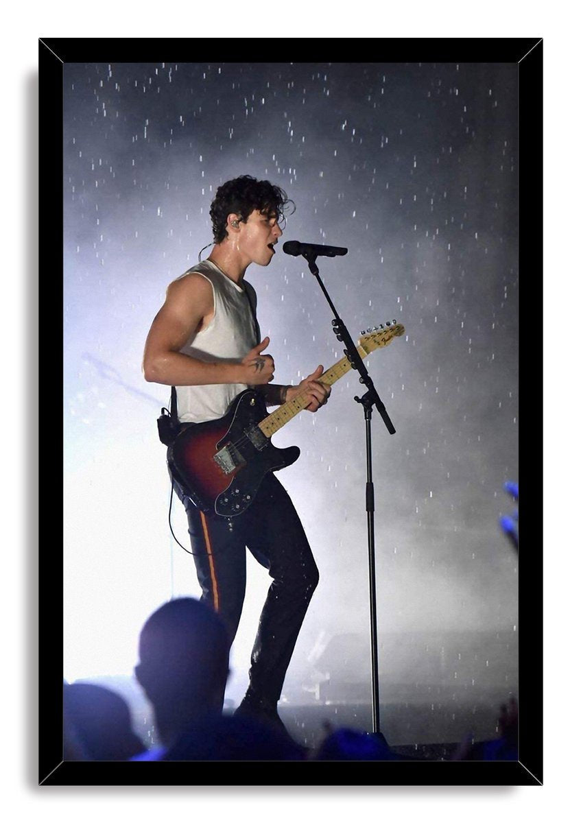 Shawn Mendes Decorative Painting (paper and canvas) art poster printing print