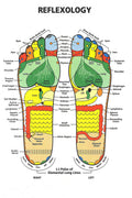 Reflexology Foot Chart Decorative Painting (paper and canvas) art poster printing print