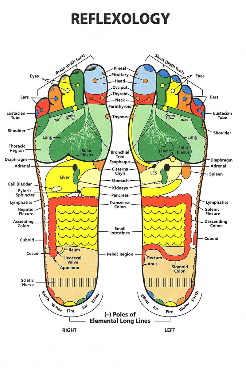Reflexology Foot Chart Decorative Painting (paper and canvas) art poster printing print