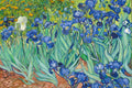 Van Gogh Irises Decoration (Paper and Canvas) Art Poster Printing Print