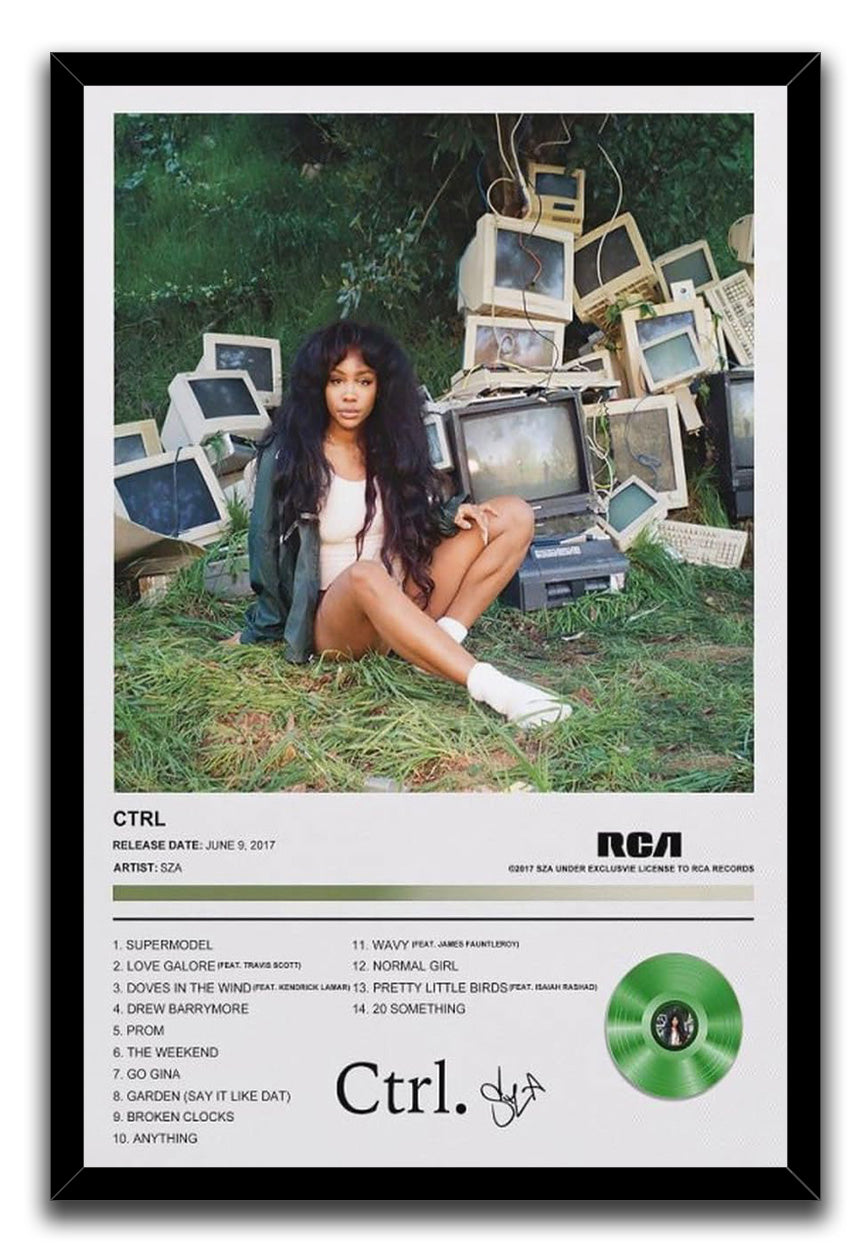RCA Crtl Album Wall Art Poster (paper and canvas) art poster printing print