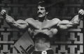 ETOMEY Bodybuilder Mike Mentzer Gym Poster Wall Art Decor Print Picture (paper and canvas) art poster printing print