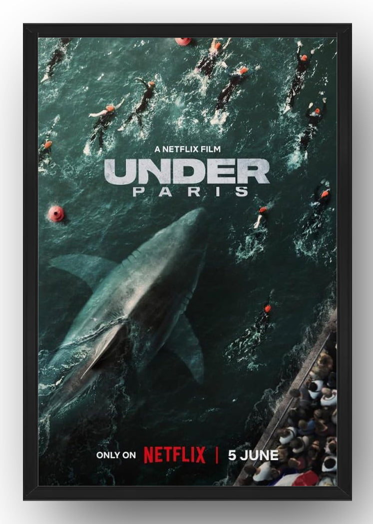 Under Paris Movie Posters(Paper and Canvas) Art Poster Printing Print