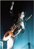 Prince-Birmingham 1995 Music (Paper and Canvas) Art Poster Printing Print