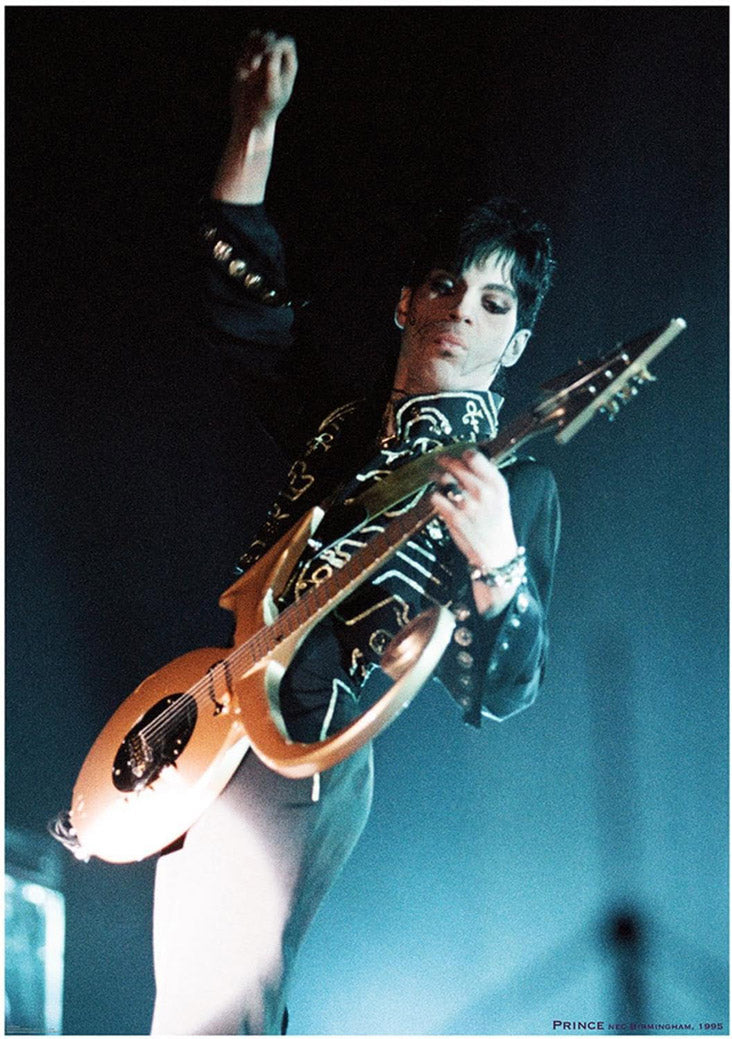 Prince-Birmingham 1995 Music (Paper and Canvas) Art Poster Printing Print