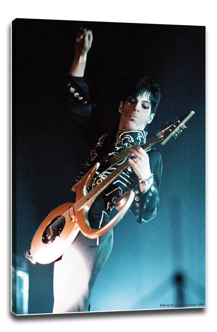 Prince-Birmingham 1995 Music (Paper and Canvas) Art Poster Printing Print