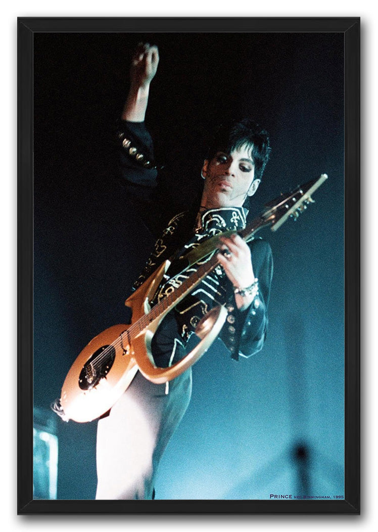 Prince-Birmingham 1995 Music (Paper and Canvas) Art Poster Printing Print