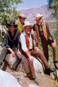 Bonanza TV Show Cast Decorative Painting (paper and canvas) art poster printing print
