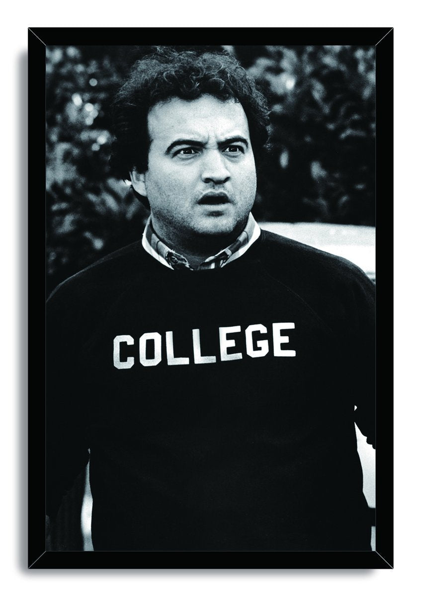 John Belushi as Bluto Blutarsky from Animal House Decorative Painting (paper and canvas) art poster printing print