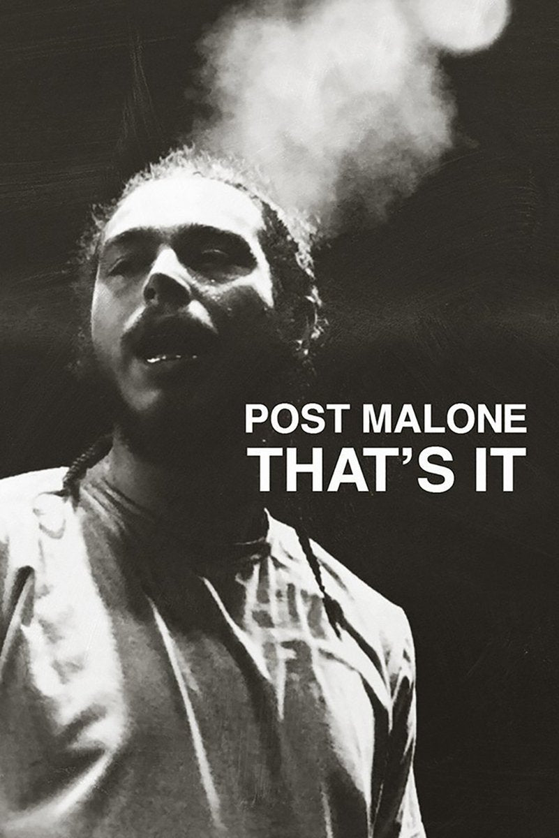 Post Malone Decorative Painting (paper and canvas) art poster printing print
