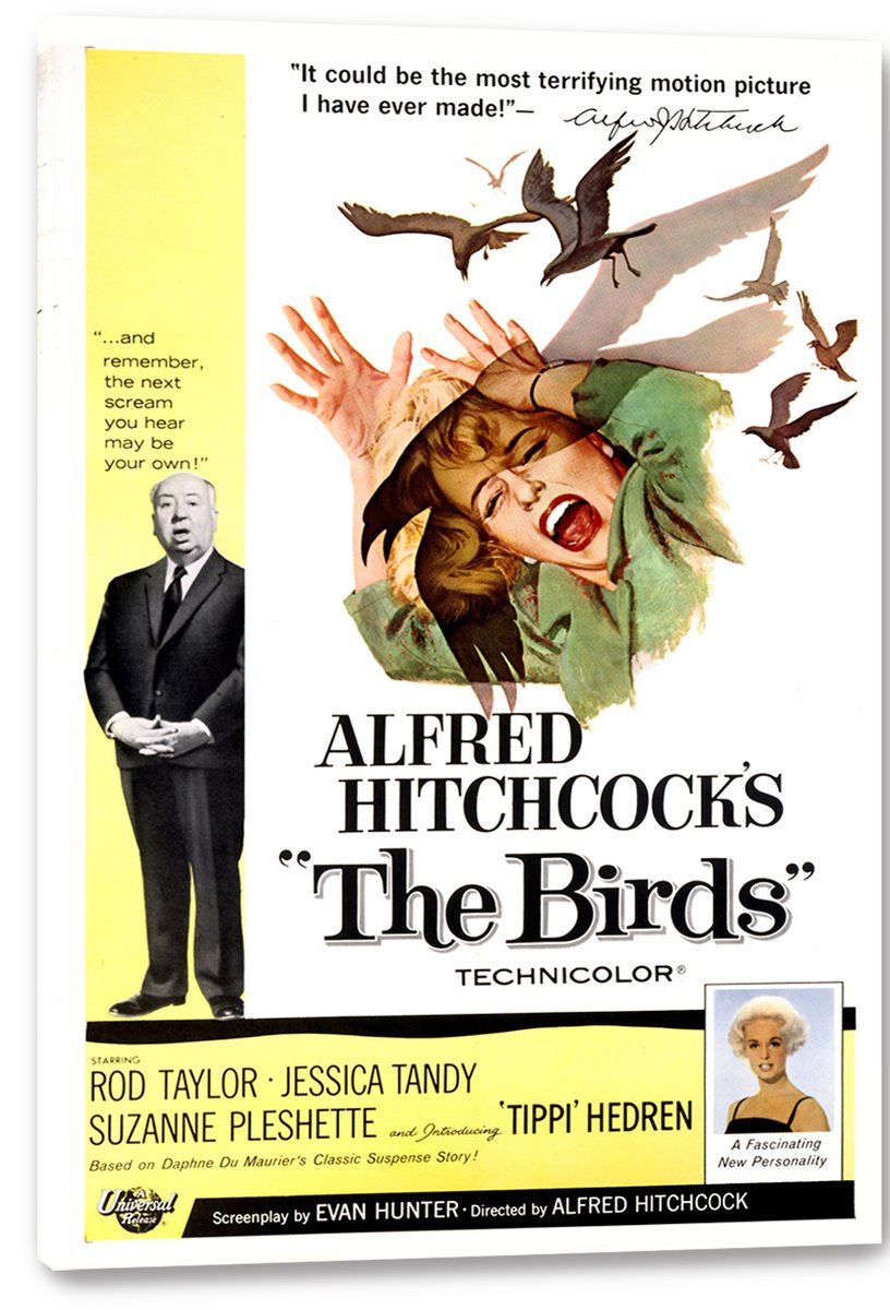 Alfred Hitchcock's The Birds Movie Poster Decorative Painting (paper and canvas) art poster printing print