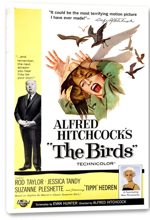 Alfred Hitchcock's The Birds Movie Poster Decorative Painting (paper and canvas) art poster printing print
