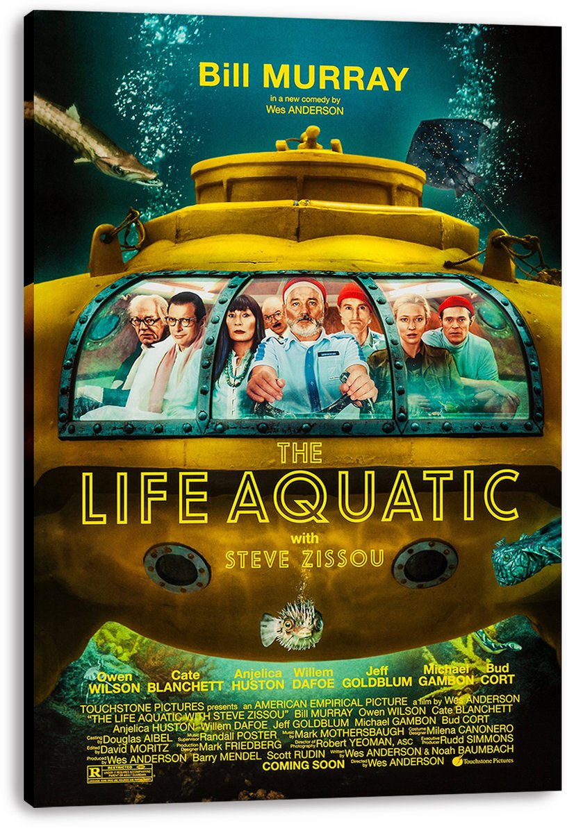 The Life Aquatic with Steve Zissou Movie Poster Decorative Painting (paper and canvas) art poster printing print
