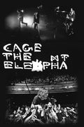 Cage the Elephant Live Concert Decorative Painting (paper and canvas) art poster printing print
