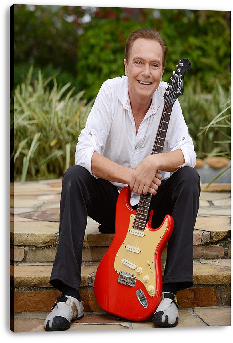 David Cassidy Decorative Painting (paper and canvas) art poster printing print