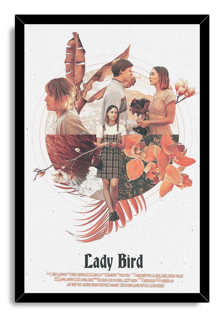 Lady Bird Movie Decorative Painting (paper and canvas) art poster printing print