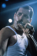 Freddie Mercury Decorative Painting (paper and canvas) art poster printing print